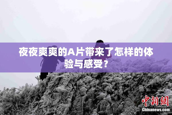 夜夜爽爽的A片带来了怎样的体验与感受？