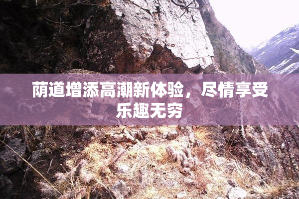 荫道增添高潮新体验，尽情享受乐趣无穷