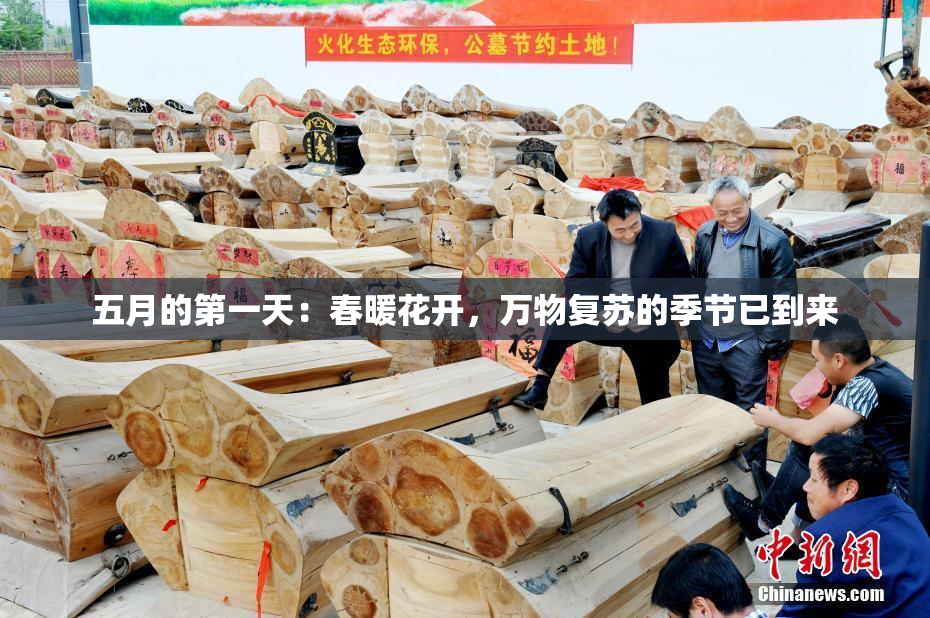 五月的第一天：春暖花开，万物复苏的季节已到来