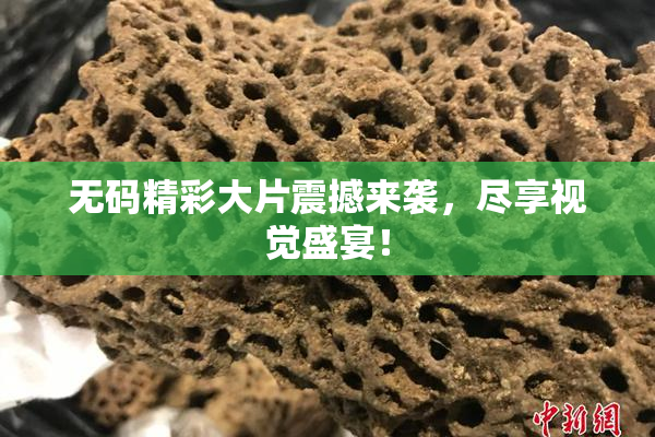 无码精彩大片震撼来袭，尽享视觉盛宴！