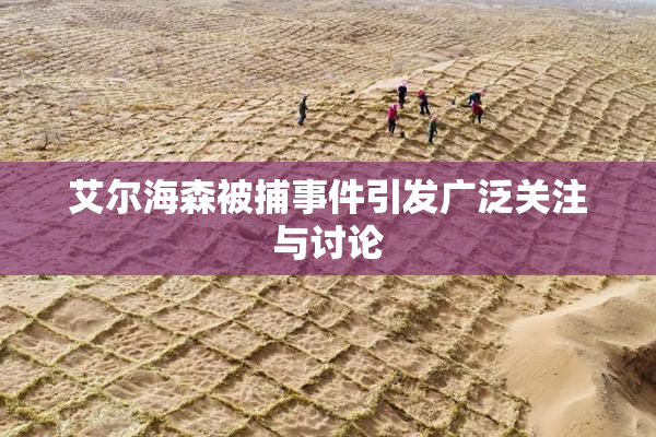 艾尔海森被捕事件引发广泛关注与讨论