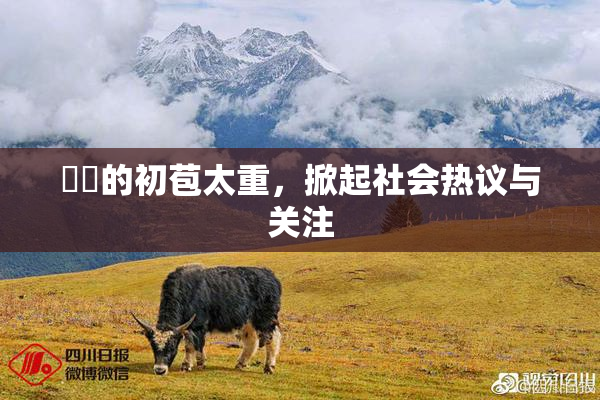 妺妺的初苞太重，掀起社会热议与关注
