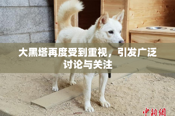 大黑塔再度受到重视，引发广泛讨论与关注