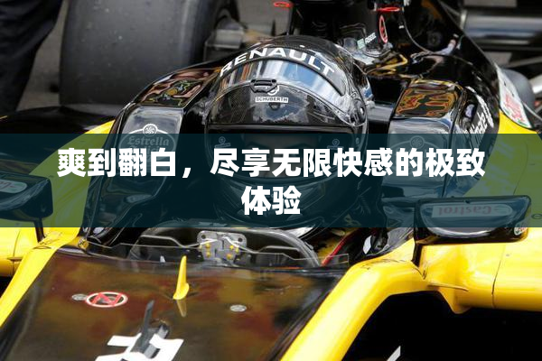 爽到翻白，尽享无限快感的极致体验