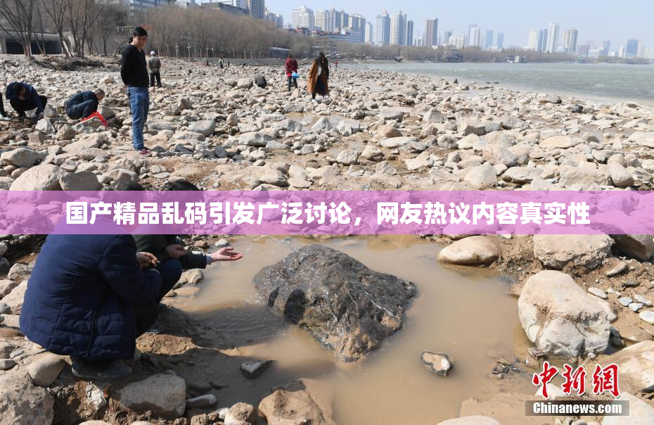 国产精品乱码引发广泛讨论，网友热议内容真实性
