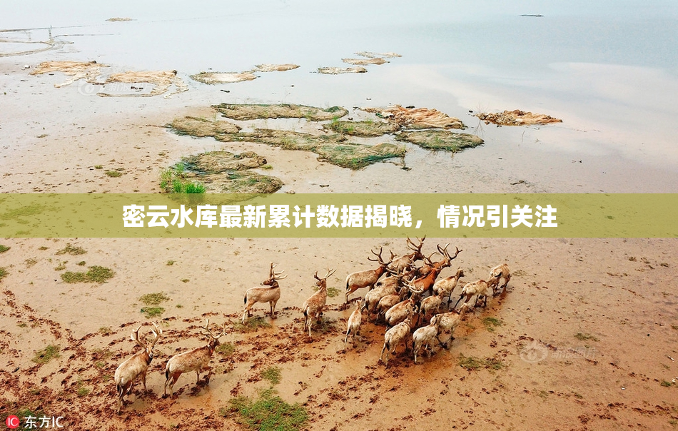 密云水库最新累计数据揭晓，情况引关注