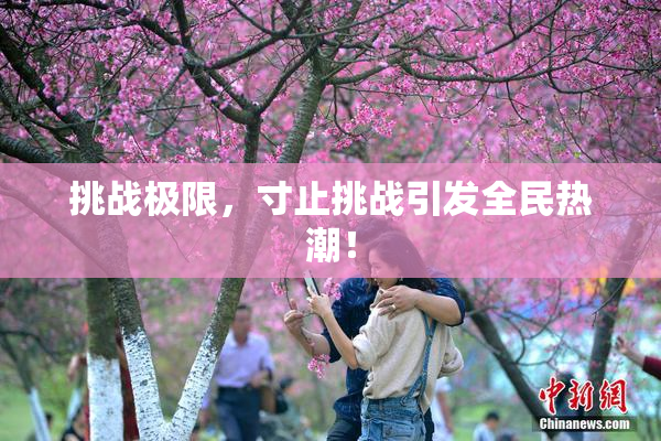 挑战极限，寸止挑战引发全民热潮！