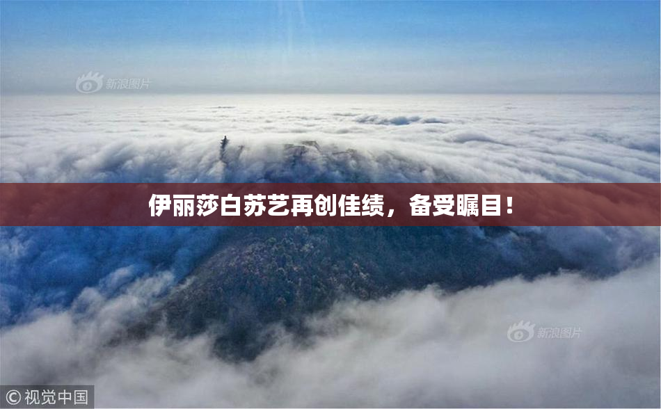 伊丽莎白苏艺再创佳绩，备受瞩目！