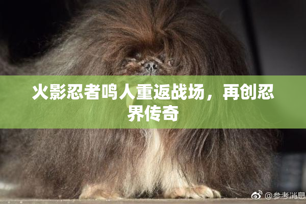 火影忍者鸣人重返战场，再创忍界传奇