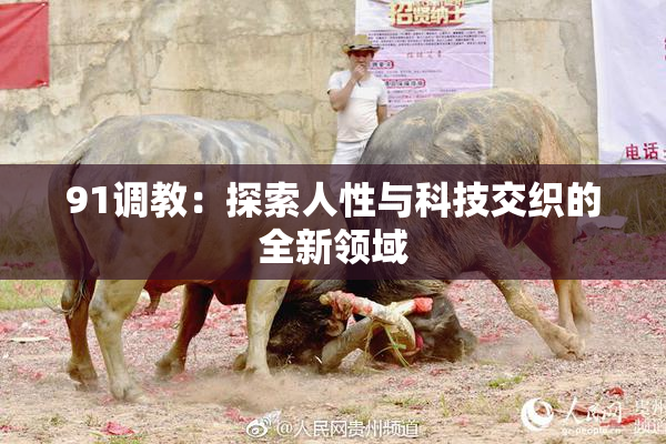 91调教：探索人性与科技交织的全新领域