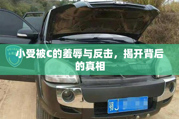 小受被C的羞辱与反击，揭开背后的真相