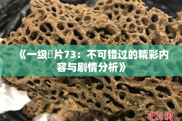 《一级婬片73：不可错过的精彩内容与剧情分析》
