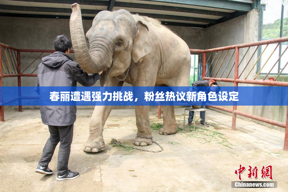 春丽遭遇强力挑战，粉丝热议新角色设定