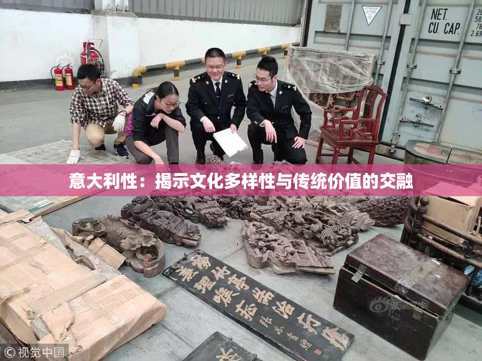 意大利性：揭示文化多样性与传统价值的交融