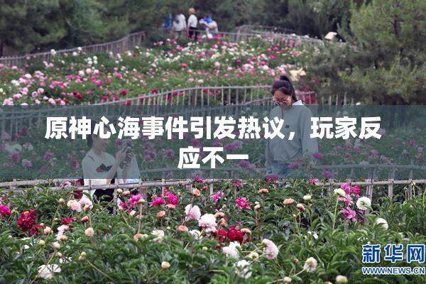 原神心海事件引发热议，玩家反应不一