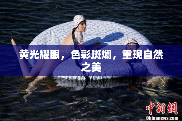 黄光耀眼，色彩斑斓，重现自然之美