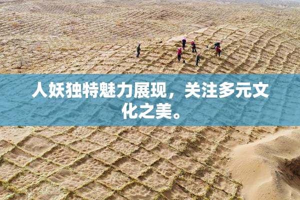 人妖独特魅力展现，关注多元文化之美。