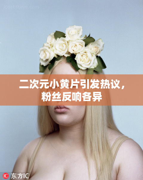 二次元小黄片引发热议，粉丝反响各异