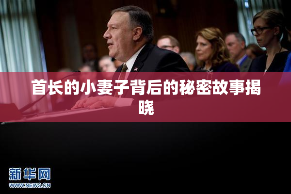 首长的小妻子背后的秘密故事揭晓