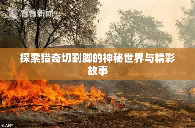 探索猎奇切割脚的神秘世界与精彩故事
