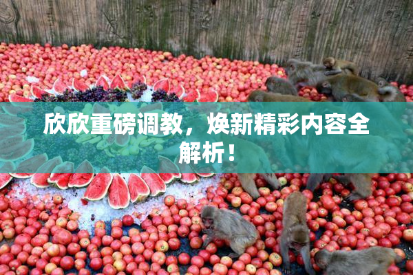 欣欣重磅调教，焕新精彩内容全解析！