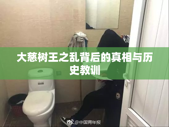 大慈树王之乱背后的真相与历史教训