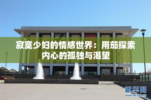 寂寞少妇的情感世界：用茄探索内心的孤独与渴望