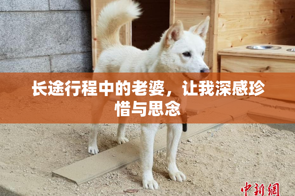 长途行程中的老婆，让我深感珍惜与思念