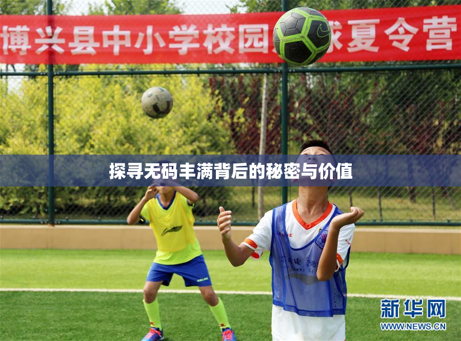 探寻无码丰满背后的秘密与价值