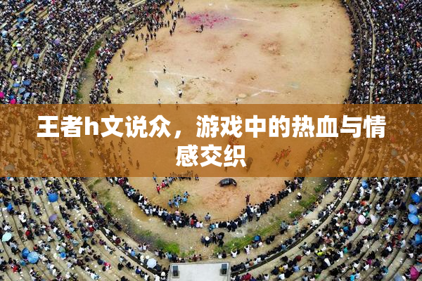 王者h文说众，游戏中的热血与情感交织