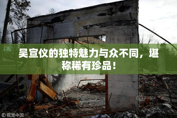 吴宣仪的独特魅力与众不同，堪称稀有珍品！