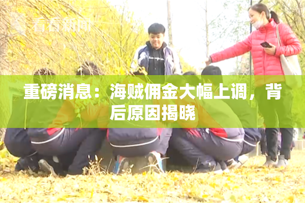 重磅消息：海贼佣金大幅上调，背后原因揭晓