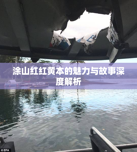 涂山红红黄本的魅力与故事深度解析