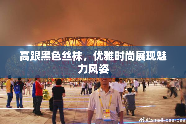 高跟黑色丝袜，优雅时尚展现魅力风姿
