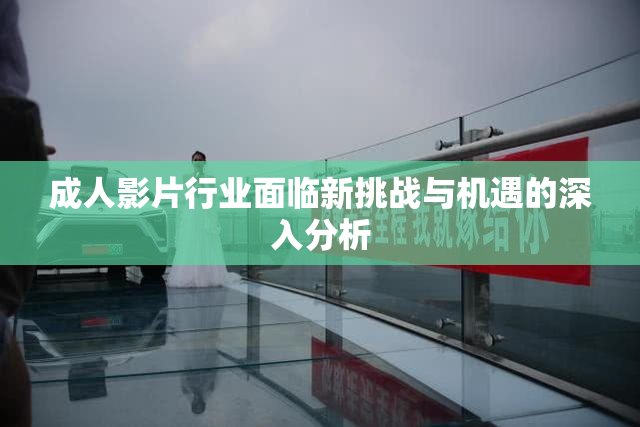 成人影片行业面临新挑战与机遇的深入分析