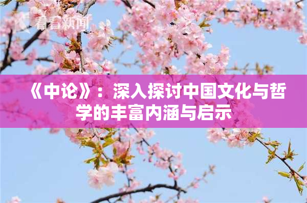 《中论》：深入探讨中国文化与哲学的丰富内涵与启示