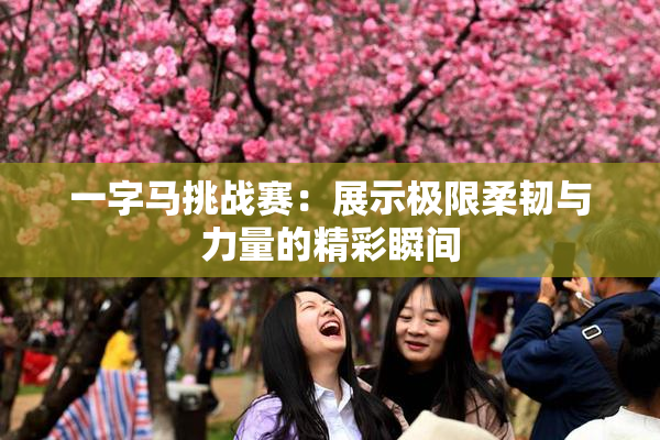 一字马挑战赛：展示极限柔韧与力量的精彩瞬间