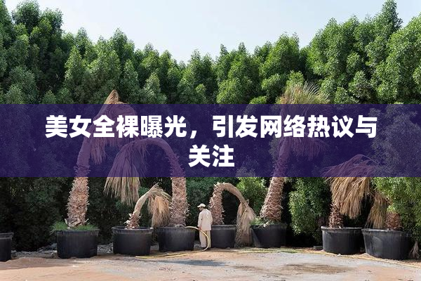 美女全裸曝光，引发网络热议与关注