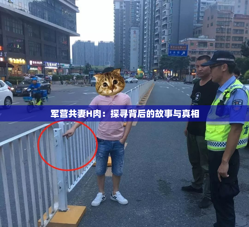 军营共妻H肉：探寻背后的故事与真相