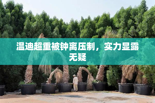 温迪超重被钟离压制，实力显露无疑