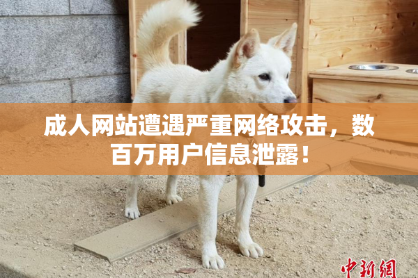 成人网站遭遇严重网络攻击，数百万用户信息泄露！