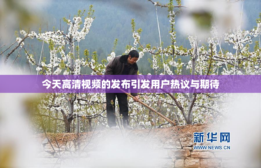 今天高清视频的发布引发用户热议与期待