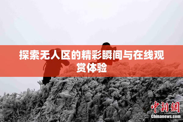 探索无人区的精彩瞬间与在线观赏体验