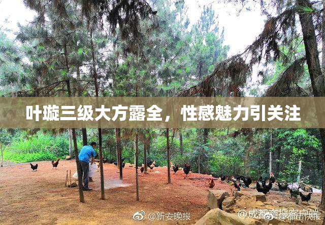 叶璇三级大方露全，性感魅力引关注
