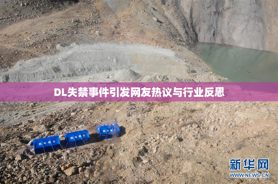 DL失禁事件引发网友热议与行业反思