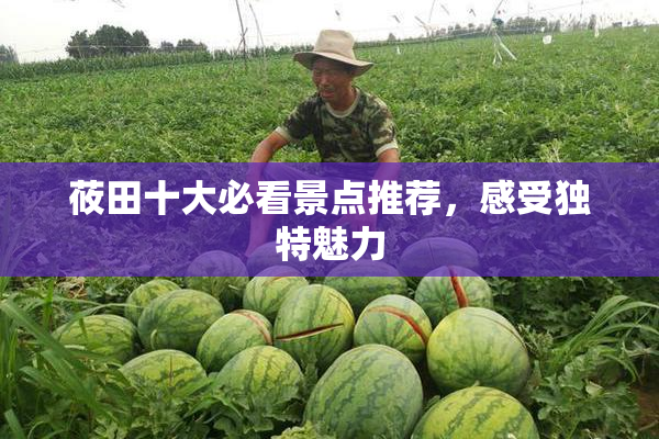 莜田十大必看景点推荐，感受独特魅力