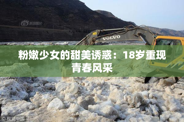 粉嫩少女的甜美诱惑：18岁重现青春风采