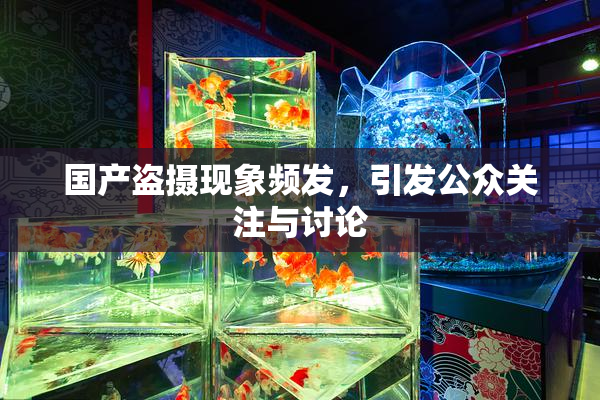 国产盗摄现象频发，引发公众关注与讨论