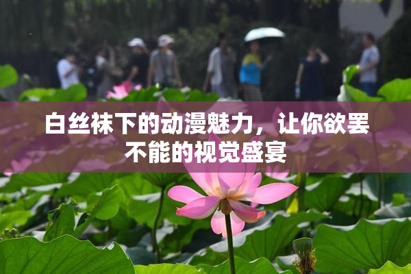 白丝袜下的动漫魅力，让你欲罢不能的视觉盛宴
