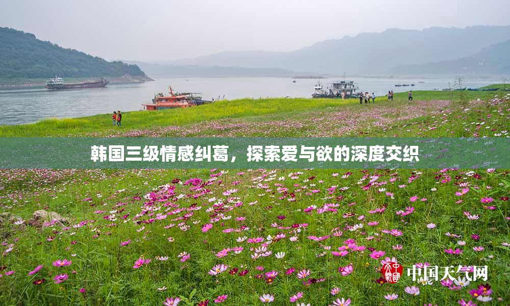 韩国三级情感纠葛，探索爱与欲的深度交织